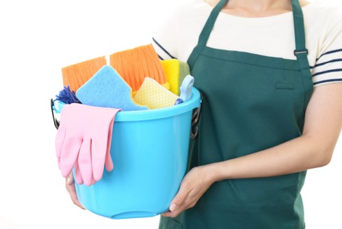 Accessible Fitzrovia Carpet Cleaners website and inclusive browsing support
