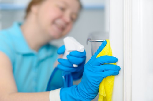 Odour-neutralising cleaning process for a Fitzrovia home