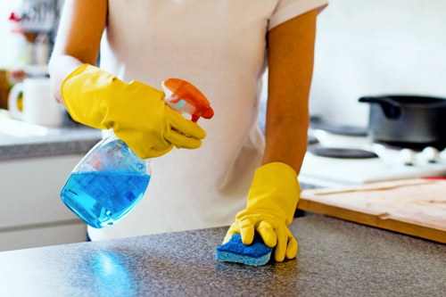 Professional carpet cleaning work in progress inside a home