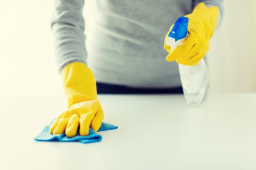 DIY and professional stain removal tools for urban interiors
