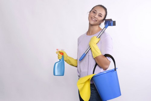 Graphic representing cookie categories for Fitzrovia carpet cleaning