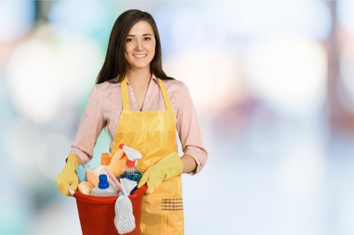 Fitzrovia Carpet Cleaners introducing professional local carpet care