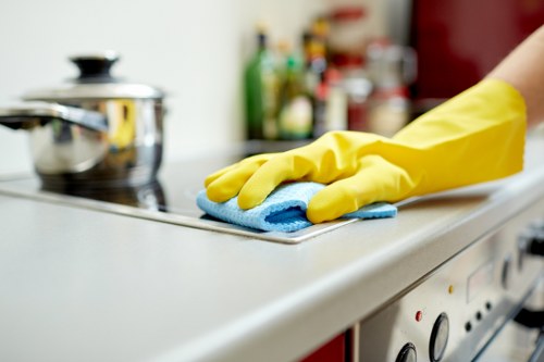 Professional carpet cleaner assessing carpet condition in Fitzrovia