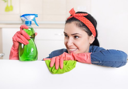 Careful carpet cleaning process for a Fitzrovia property interior