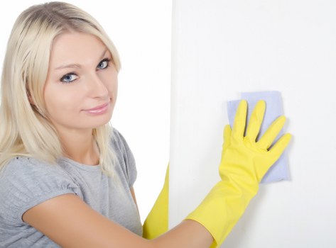 Cleaning products and tools prepared for a carpet care service